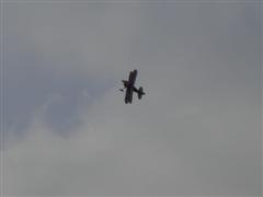 PICT2220.JPG